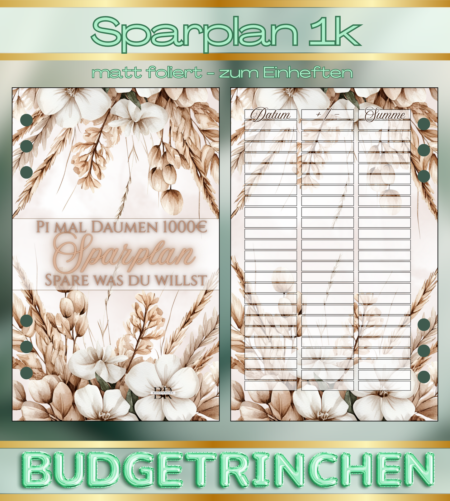 Pi mal Daumen Sparplan 1000€ - Spare was du willst