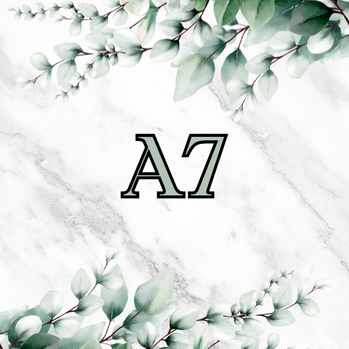 A7 Challenges