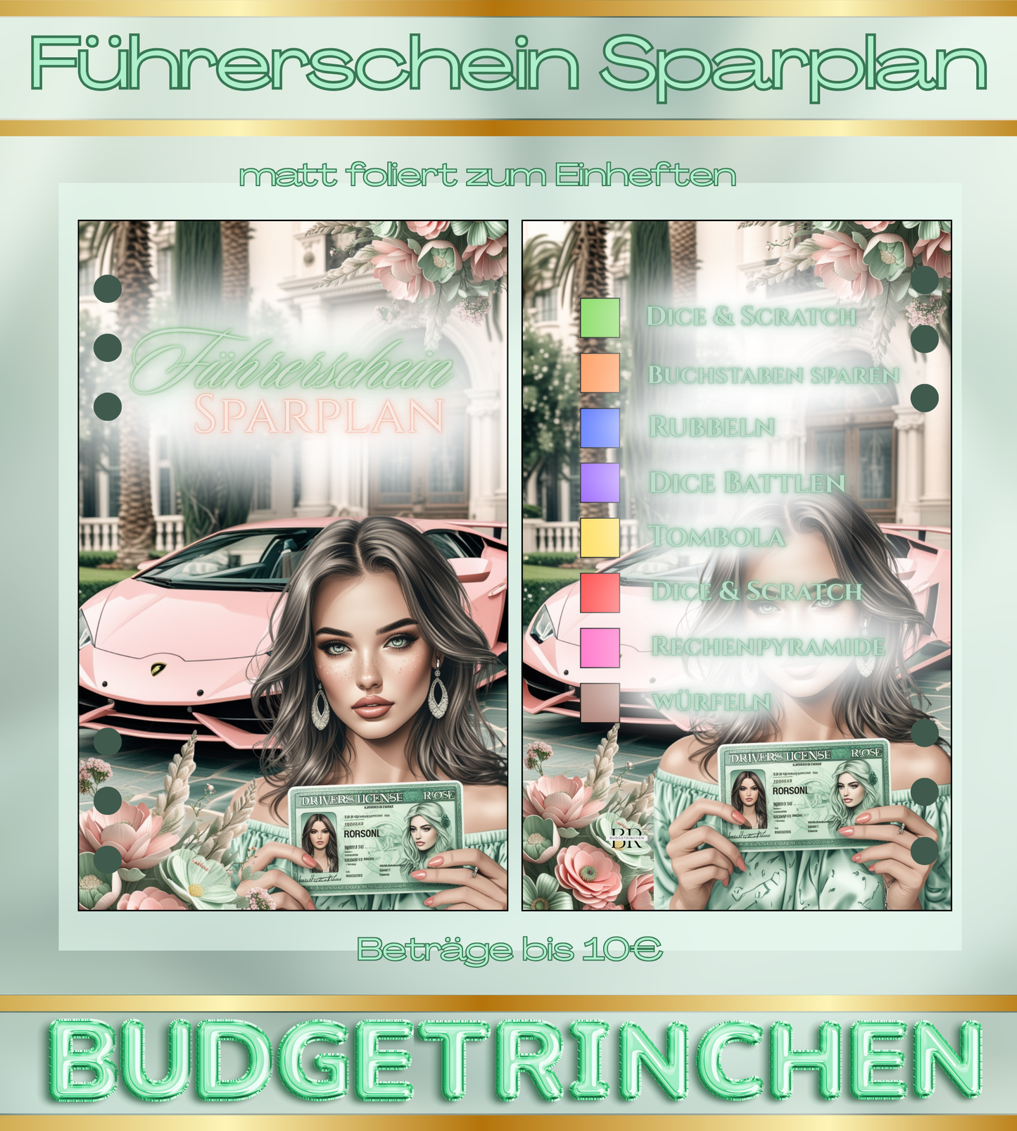 Führerschein Bundle -  matt foliert