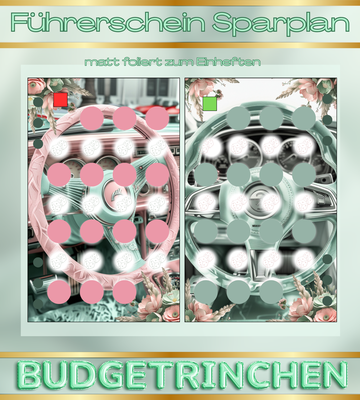 Führerschein Bundle -  matt foliert