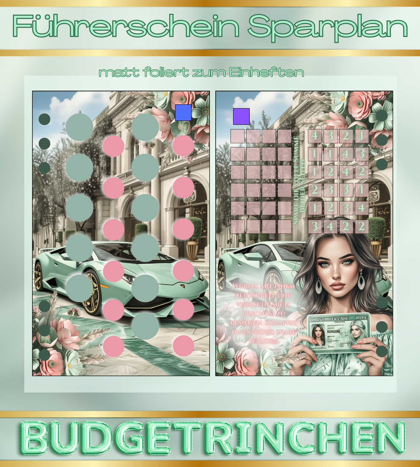 Führerschein Bundle -  matt foliert