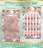 Pfandsammler - Challenge matt foliert