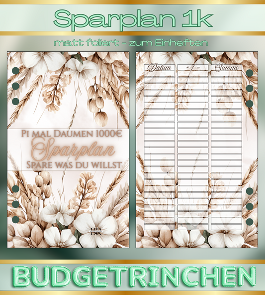 Pi mal Daumen Sparplan 1000€ - Spare was du willst
