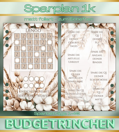 Pi mal Daumen Sparplan 1000€ - Spare was du willst