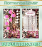 Romance Lover Kombichallenge Bücher- matt foliert