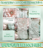 1500€ Sparplan Rosa Mint 2 in 1 Klappkarte zum Einheften - matt foliert